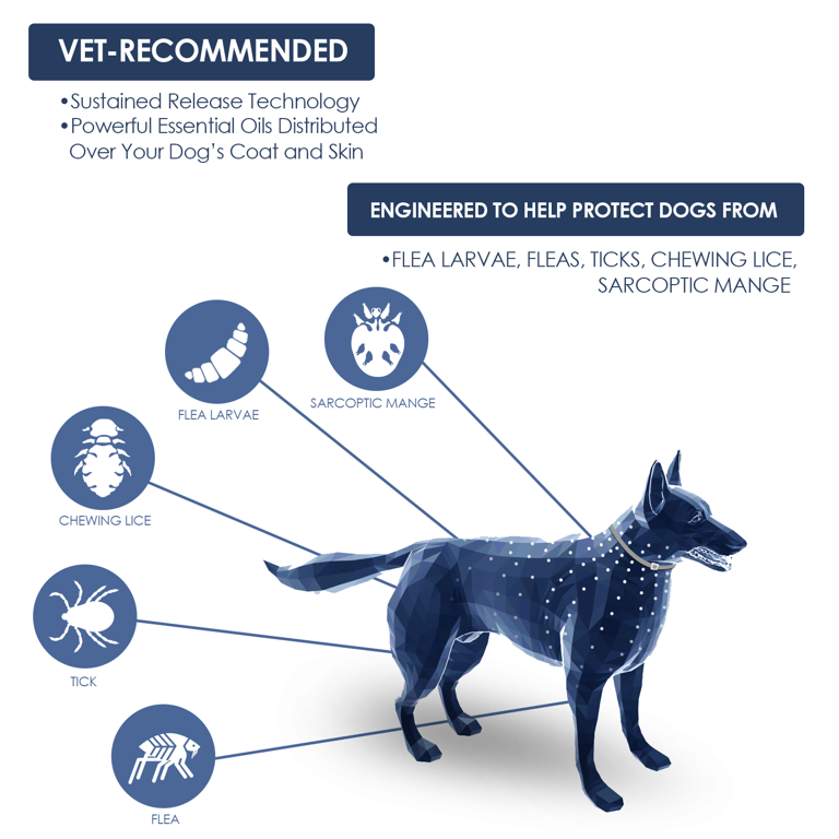 Bearant Flea and Tick Collar for Dogs - 8 Months Protection for Dogs -  Organic Flea Collar - Adjustable Size Fits All Dog Flea Collar - Waterproof  Flea and Tick Collars, 2 Packs, Gray - Walmart.com