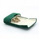 thumbnail image 1 of Caja de regalo para pulsera/brazalete/pulsera de cuero verde de primera calidad, escaparate de pulsera, caja de almacenamiento de joyería para el día de San Valentín, aniversario, 1 of 4