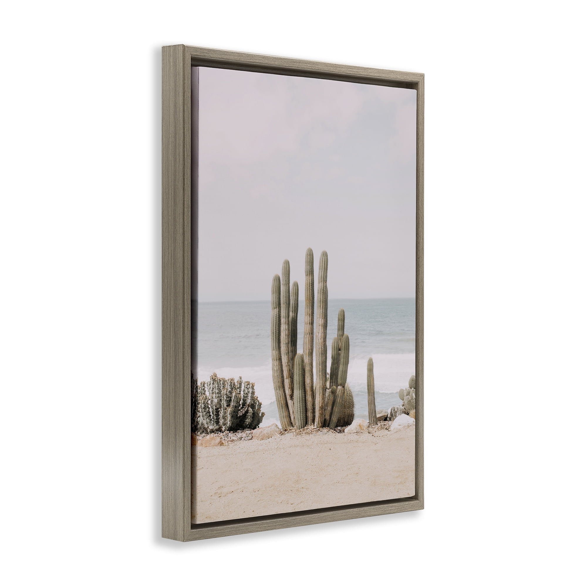 Stupell Industries Cactus on Beach Shore Landscape & Nature Photography Brown Floater Framed Canvas Art Print Wall Art, 17 x 25