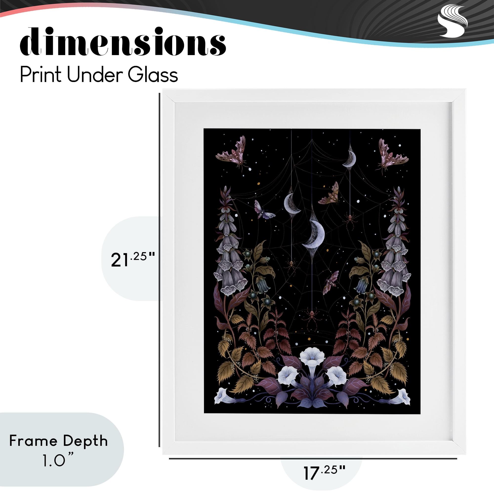 Stupell Industries Witch Garden with Spider Webs White Framed Print Under Glass, design by Episodic Drawings