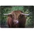 thumbnail image 4 of SKYSONIC Highland Cow Calf Cattle Non-Slip Area Rug, Animal Funny Floor Carpet Comfort Floor Mats Decor for Indoor Front Porch Living Room Bedroom Kitchen, 36"x24", 4 of 5