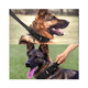thumbnail image 5 of Collar Y Cuerda Para Perros Talla Extragrande Belug Negro, 5 of 5