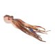thumbnail image 1 of Cebos de pesca de pulpo señuelos de pesca de calamar resistentes suaves y realistas antimordeduras para pesca en barco ANGGREK Otros, 1 of 8