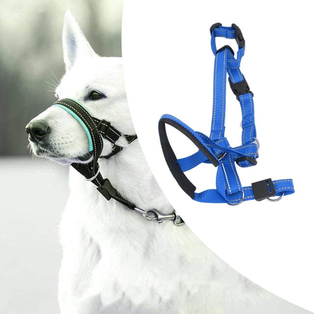 Halter De Cabeza De Cuello De La Cabeza Del Perro Para Perros El Hocico Correa Ajustable Contra La Mordida Con Material De Nylon Suave Para La Fuerza De Mordedura De Control