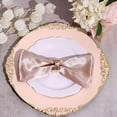 thumbnail image 6 of BalsaCircle 24 Blush 13" Acrylic Round Charger Plates Embossed, 6 of 8