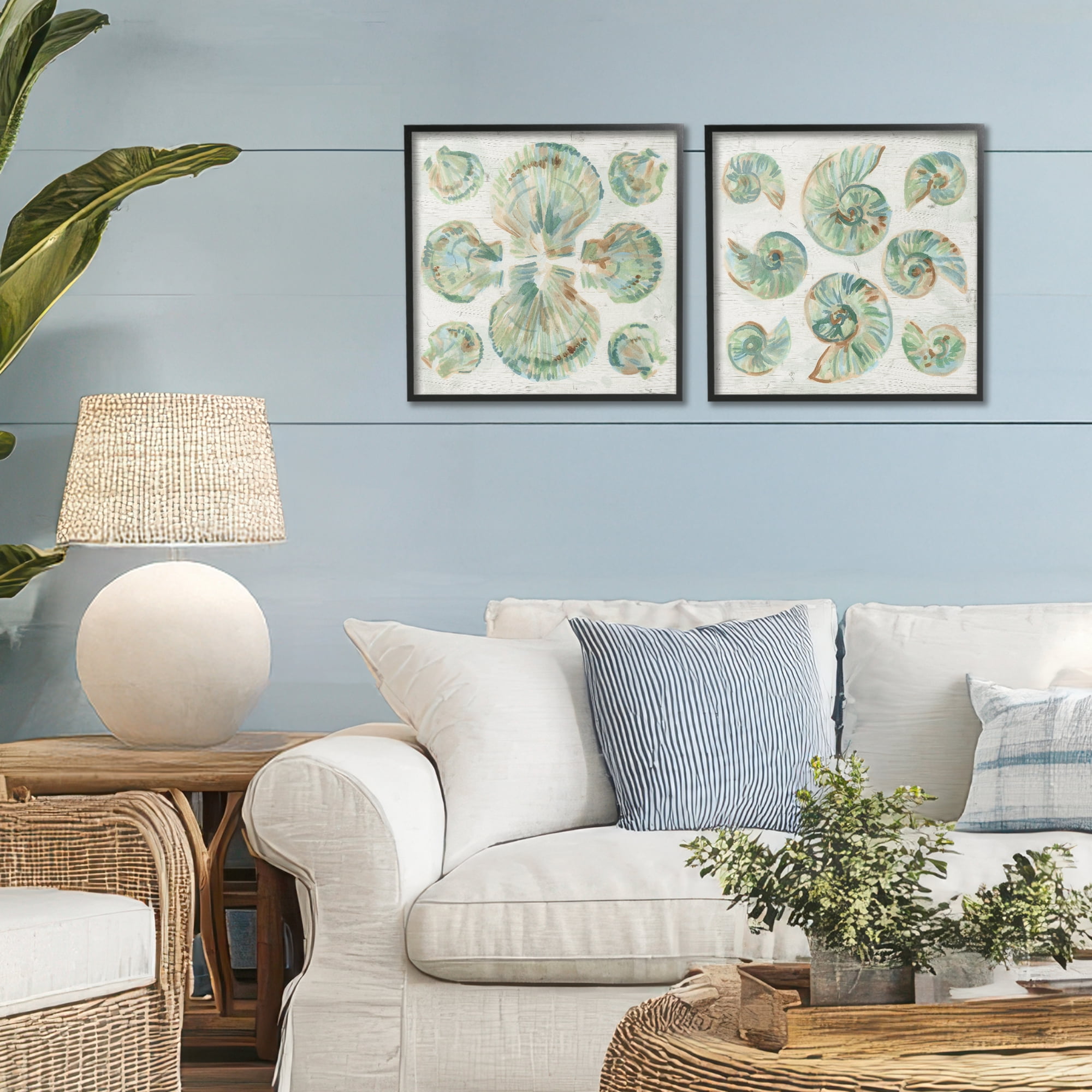 Stupell Industries Saltwashed Seashells Pattern 2 Piece Black Framed Giclee Art Set, design by June Erica Vess