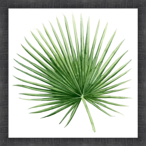 Great Art Now Rainforest Jewel II by Grace Popp, Framed Wall Art, 17.5W x 17.5H