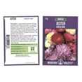 thumbnail image 2 of Aster - Crego Giant Flower Seed Mixture - 1.5 Gram Packet: Approx 12,000 Seeds - Annual Flower Gardening Seeds - Callistephus chinensis, 2 of 8