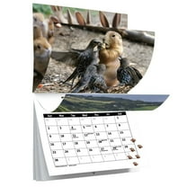 2025 Animal Friends Wall Calendar - Monthly Animal Pictures for Unique Home Décor and Inspiration