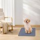 thumbnail image 1 of Lekihaqq Thickened Pet Urine Pad Deodorization Instant Water Absorption Washable Reusable Dog Urine Pad Soft Fabric Easy to Dry Home Car Outdoor Use Puppy Training Pad, 1 of 1