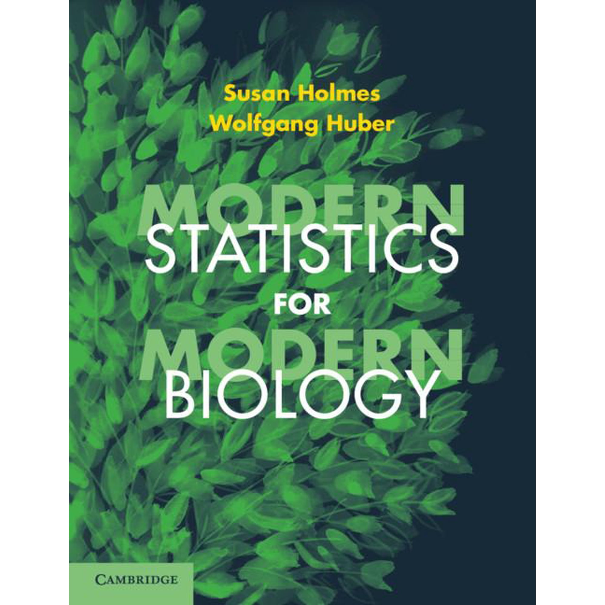 Modern Statistics for Modern Biology (Paperback)