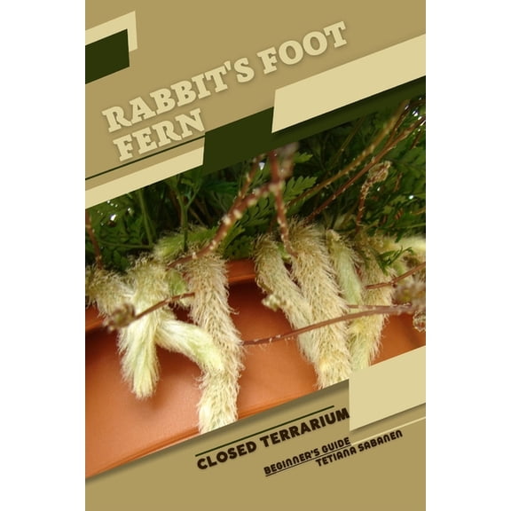 Rabbit's Foot Fern: Closed terrarium, Beginner's Guide, (Paperback)
