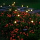 thumbnail image 2 of Lámpara de pie LED solar Firefly, lámpara de paisaje para jardín y patio exterior, lámpara de césped, lámpara de ambiente decorativo, 2 of 4