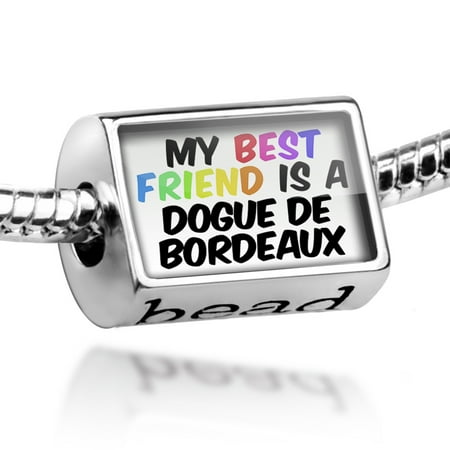 Bead My best Friend a Dogue de Bordeaux Dog from France Charm Fits All European
