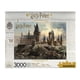 thumbnail image 1 of ACUARIO Harry Potter Puzzle Hogwarts Castle (Rompecabezas de Aquarius AQUARIUS, 1 of 7