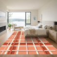 thumbnail image 3 of ODIKA 8'x10' Machine Washable Non-Slip Area Rug, Farmhouse Terracotta High Traffic Rug, Orange, 1290254, 3 of 7