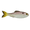 Ghost Pro Shad, variant on 6th Sense Panorama 3.5 Soft Swimbait Bass and Crappie Fishing Lure Multi-Species Finesse Forage Bait
