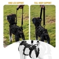 thumbnail image 2 of Arnés elevador para perro ONETIGRIS XS con soporte reflectante, 2 of 7
