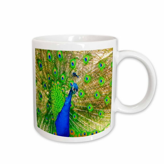 3drose, Brilliant Colored Peacock Remastered Photograph, 15oz Mug