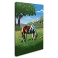 thumbnail image 2 of Trademark Fine Art 'Animal 77' Canvas Art by Lantern Press, 2 of 3