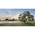 thumbnail image 3 of Blaustein, Alan 18x11 Black Modern Framed Museum Art Print Titled - Sonoma Oak 3, 3 of 5