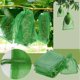 thumbnail image 1 of 100 Pcs Fruit Protection Netting Bags 17x23 Cm Mesh Fruit Barrier Bags, Garden Fruit Mesh Bag With Drawstring Protect From Insect, 1 of 5