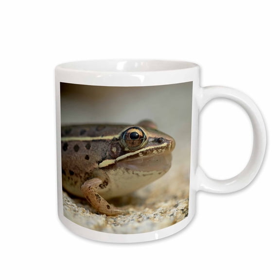 3drose, Macro Photograph of a Southern Leopard Frog After Catching a Bug., 15oz Mug