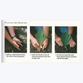 thumbnail image 5 of Iris , Low Maintenance - Easy Grow - Ideal for Beds Borders, Plant Pots & Planters, 5 of 5