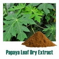 thumbnail image 3 of Papaya leaf (Carica papaya) dry Extract - 30% Glycosides (Saponnin) by Gravimetry, 3 of 3