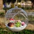 thumbnail image 3 of Creativo jarrón colgante de vidrio con micropaisaje de musgo, jarrón colgante de vidrio con forma de carne, adornos de escritorio en macetas, 3 of 5
