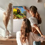 2024 2025 Cavalier King Charles Calendar Dog Breed Monthly Wall 2024 2025 Cavalier King Charles Calendar Dog Breed Monthly Wall