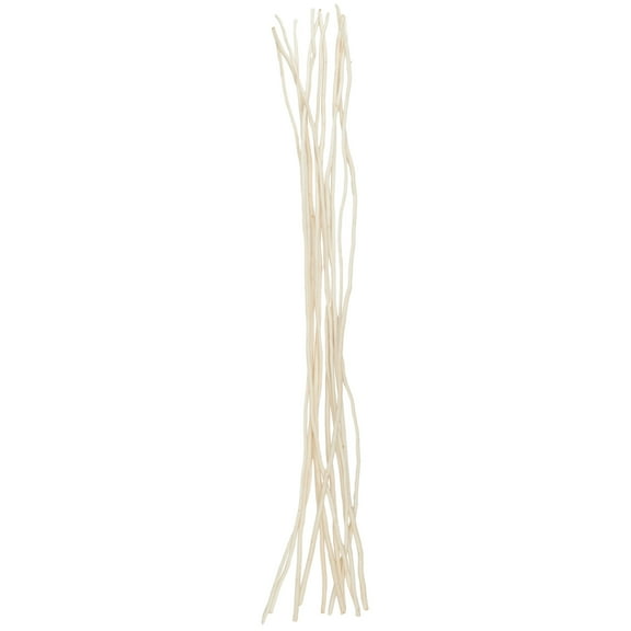 60" Tall Wavy Stick Dried Plant Natural Foliage Bouquet, by DecMode