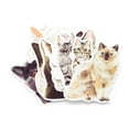 thumbnail image 3 of Recollections Cats Die Cut Stickers, 3 of 5