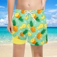 thumbnail image 2 of FINALGANG Boys 2 in 1 Swim Trunks Kids Pineapple Print Quick Dry Beach Shorts With Stretchy Slim Fit Liner Casual Swimwear For Pool Beach Activities Green 7 Years, 2 of 4