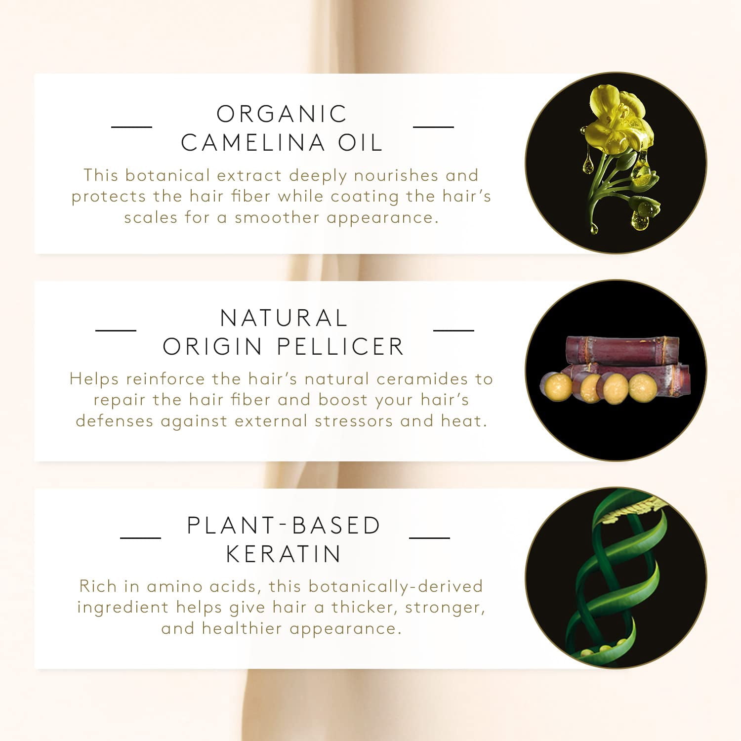 Rene Furterer ABSOLUE KERATINE Ultimate Regenerating Mask - For Damaged, Over-Processed Fine to Medium Hair - Repair & Restore - 6.7 Fl Oz