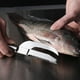 thumbnail image 4 of Cuchillo para fauces de pescado, removedor de escamas de pescado de acero inoxidable: cortar/raspar/excavar, quitar fácilmente escamas de pescado para raspador de cepillo de limpieza de pescado de, 4 of 7
