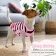 thumbnail image 2 of Ropa para Perros que Protege el Vientre Adecuada para la Primavera y el Otoño Pijamas Otoñales para Perritos y Gatos Ropa para Mascotas, 2 of 7