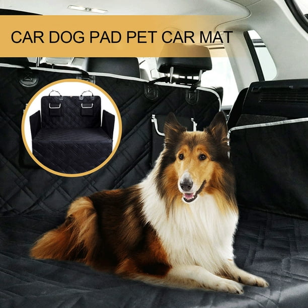 Dog 2025 boot carrier