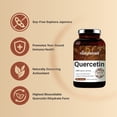 thumbnail image 4 of NatureBell Super Quercetin 1000mg, 240 Capsules, 4 of 7