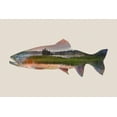 thumbnail image 1 of Trout, Double Exposure (36x54 Giclee Gallery Art Print, Vivid Textured Wall Decor), 1 of 3