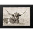 thumbnail image 2 of Schell, Jennie Marie 24x17 Black Modern Framed Museum Art Print Titled - Longhorn Bull Sepia, 2 of 5