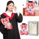 thumbnail image 5 of (Juego Combinación AB Opp) Oso Soltero Sombrero Nuevo Doctor Oso Oso Graduación Muñeca Peluche Almohada Regalo Ornamental (rojo), 5 of 9