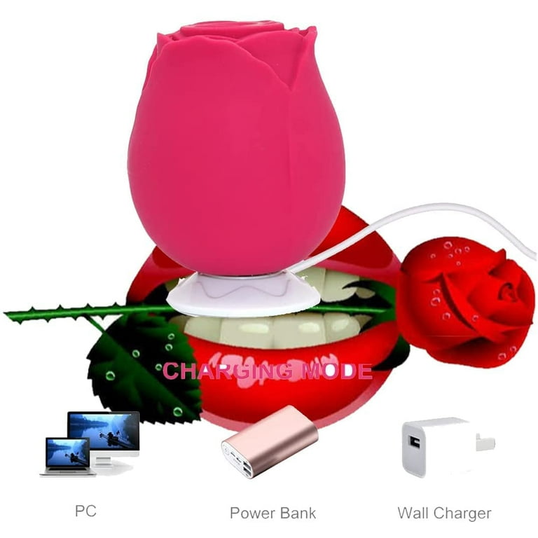 Rose Toy for Woman 2023 Upgraded Female Rose Flower with 10 Gears USB  Rechargeable Valentine's Day Gift-Red