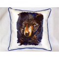 thumbnail image 1 of Betsy Drake ZP281 Betsys Bear Coussin Intérieur & Extérieur - 22 x 22 Po., 1 of 1