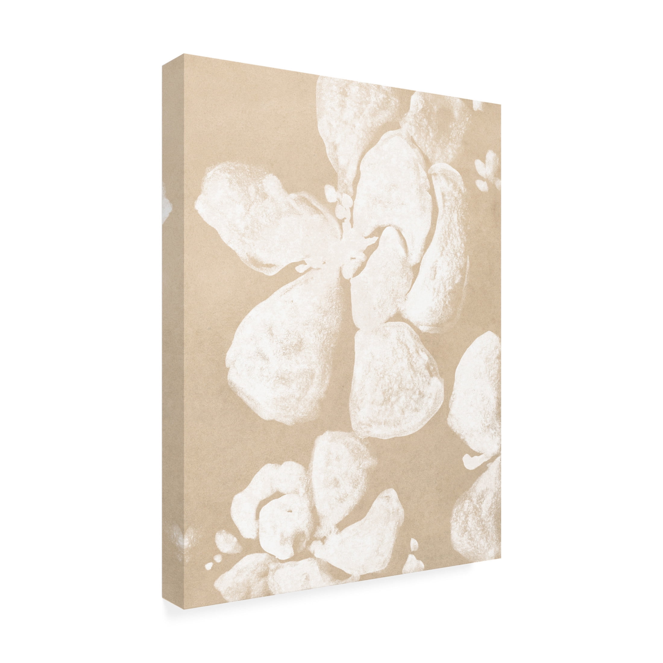Trademark Fine Art June Erica Vess  Ghost Petal I Canvas Wall Art