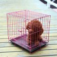 thumbnail image 2 of OULII Cages Puppy Iron Pink Folding Design for Training 1Pcs, 2 of 8