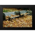 thumbnail image 2 of Geyman, Vitaly 18x13 Black Modern Framed Museum Art Print Titled - Autumn Paradise I, 2 of 5
