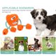 thumbnail image 5 of Juguete masticable para perros, juguete para la dentición de cachorros, forma de bola creativa, juguete interactivo para mascotas, 5 of 6