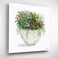 thumbnail image 3 of Epic Art 'White Wood Succulent III' by Cindy Jacobs, Acrylic Glass Wall Art, 12"x12", 3 of 8