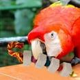 thumbnail image 3 of Parrot Chewing Toy Bird Grinding Stone with Lava Block Calcium Supplement Food for Pet Birds, 3 of 5